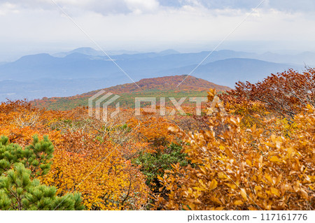 東北地區、秋天的栗駒山 117161776