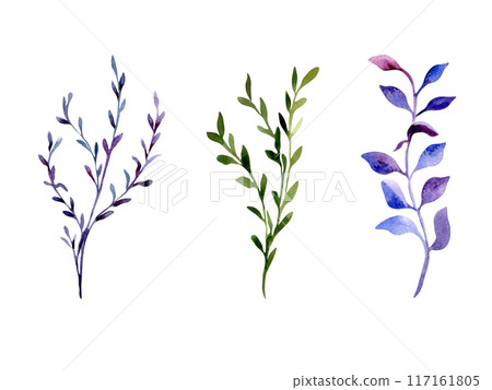 Branches leaves watercolor set plants blue purple and green colors isolated illustration. Abstract colorful twigs and leaf hand drawn. Floral elements set for design card, textile, wrapping. Branches leaves watercolor set plants blue purple and green colors isolated illustration. Abstract colorful twigs and leaf hand drawn. Floral elements set for design card, textile, wrapping. 117161805