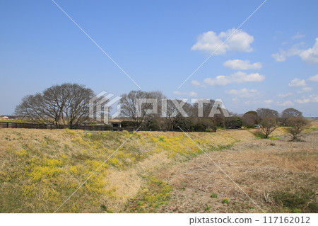 茨城縣猿島郡五華町中之島公園 117162012