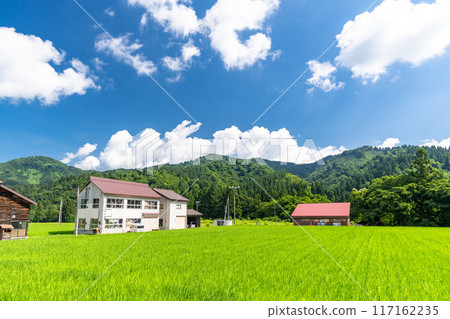 【新潟縣】夏日寧靜的鄉村風景 117162235