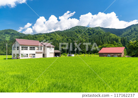 【新潟縣】夏日寧靜的鄉村風景 【新潟縣】夏日寧靜的鄉村風景 117162237