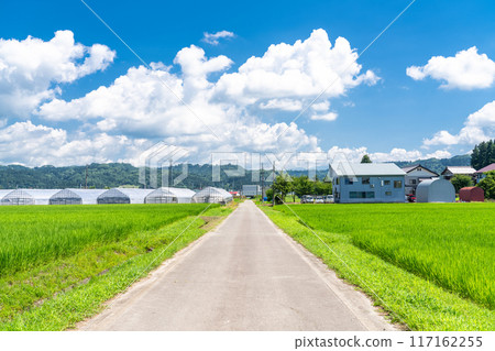<Niigata Prefecture> A peaceful rural summer scene 117162255