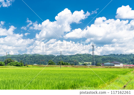 <Niigata Prefecture> A peaceful rural summer scene 117162261