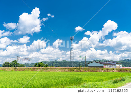 【新潟縣】夏日寧靜的鄉村風景 【新潟縣】夏日寧靜的鄉村風景 117162265