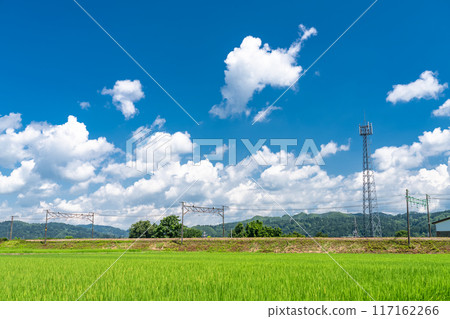 【新潟縣】夏日寧靜的鄉村風景 117162266