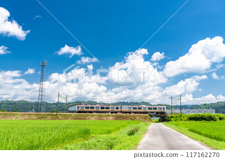 <Niigata Prefecture> A peaceful rural summer scene 117162270