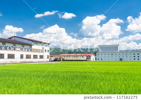 【新潟縣】夏日寧靜的鄉村風景 117162275