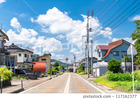 【新潟縣】夏日寧靜的鄉村風景 117162377