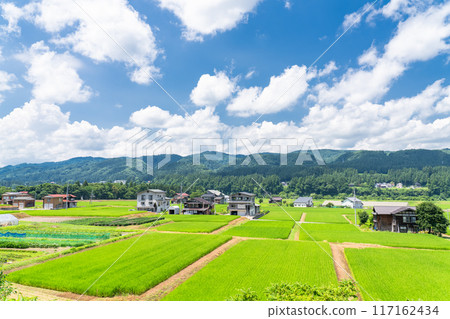 【新潟縣】夏日寧靜的鄉村風景 117162434