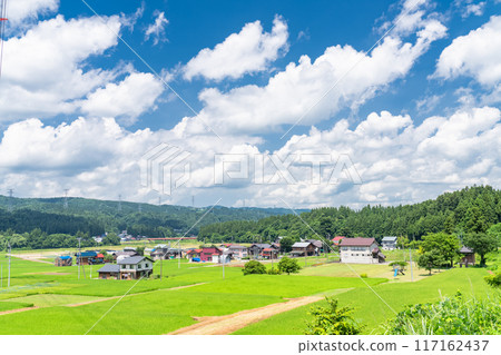<Niigata Prefecture> A peaceful rural summer scene 117162437