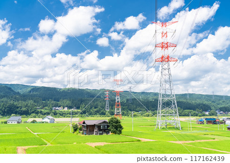 【新潟縣】夏日寧靜的鄉村風景 117162439