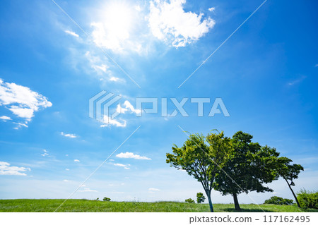Summer blue sky, grassland and sun 117162495