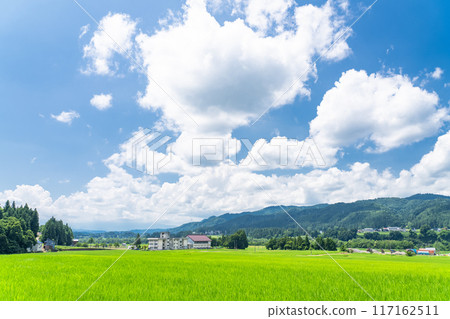 【新潟縣】夏日寧靜的鄉村風景 117162511