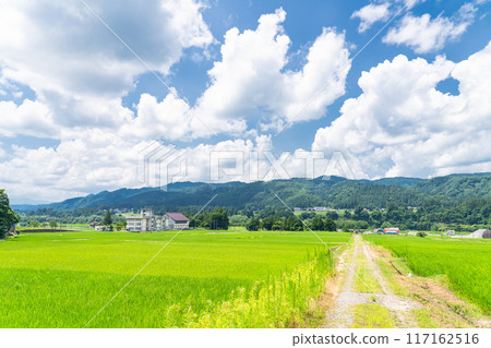 <Niigata Prefecture> A peaceful rural summer scene 117162516