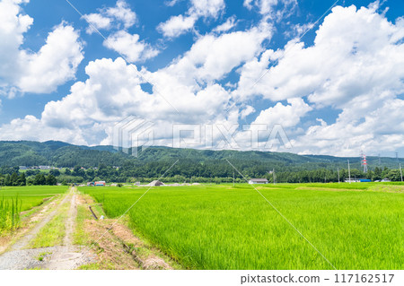 <Niigata Prefecture> A peaceful rural summer scene <Niigata Prefecture> A peaceful rural summer scene 117162517