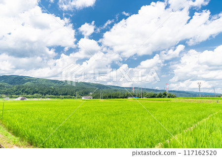 <Niigata Prefecture> A peaceful rural summer scene 117162520