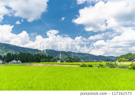 【新潟縣】夏日寧靜的鄉村風景 【新潟縣】夏日寧靜的鄉村風景 117162573