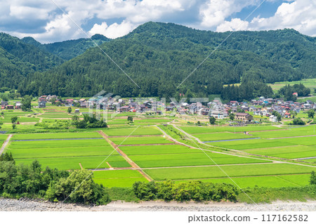 【新潟縣】夏日寧靜的鄉村風景 117162582