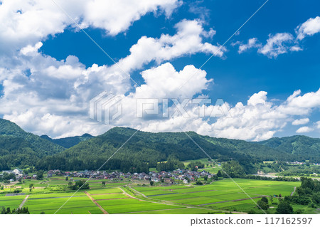 【新潟縣】夏日寧靜的鄉村風景 117162597