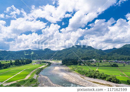 【新潟縣】夏日寧靜的鄉村風景 117162599