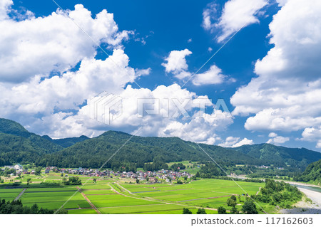 <Niigata Prefecture> A peaceful rural summer scene 117162603