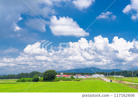 <Niigata Prefecture> A peaceful rural summer scene 117162606
