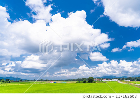 <Niigata Prefecture> A peaceful rural summer scene 117162608