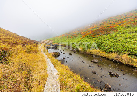 Autumn foliage scenery of Mount Akita Komagatake in Akita Prefecture 117163019