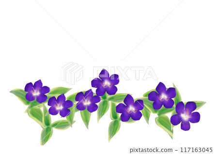 野牡丹花卡6 野牡丹花卡6 117163045