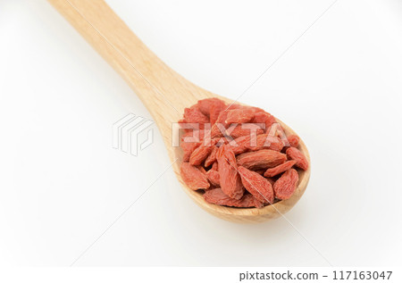Wolfberry  117163047