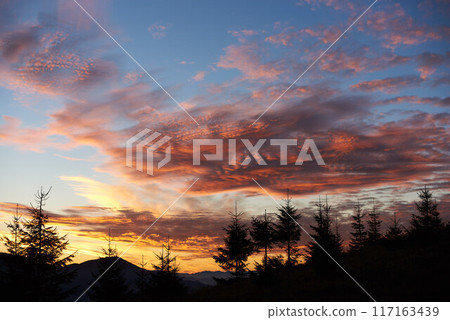 Row of silhouetted pine trees stands against vibrant sunset sky, painted with brilliant shades of pink, orange, purple. Dramatic clouds add depth to scene, creating mesmerizing and tranquil landscape. Row of silhouetted pine trees stands against vibrant sunset sky, painted with brilliant shades of pink, orange, purple. Dramatic clouds add depth to scene, creating mesmerizing and tranquil landscape. 117163439