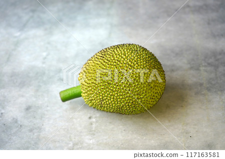 A SINGLE TINY RAW JACKFRUIT 117163581