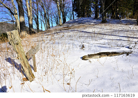 Tanzawa Mountains in the harsh winter: A trail leading to snow-covered Yomogi-daira Tanzawa Mountains in the harsh winter: A trail leading to snow-covered Yomogi-daira 117163619