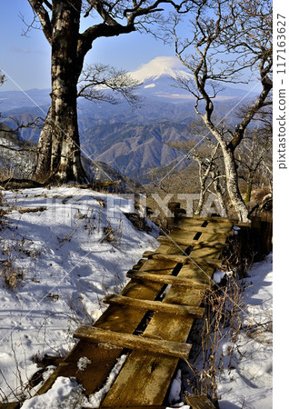 Mount Fuji towering over the boardwalk on the Ishidana ridge of Tanzawa Mount Fuji towering over the boardwalk on the Ishidana ridge of Tanzawa 117163627