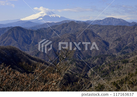 Mount Fuji and the Tanzawa Mountains in the harsh winter, seen from Kogai on the Tanzawa main ridge 117163637