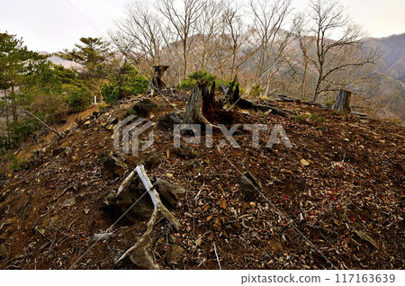 從丹澤秋葉原山頂、水組之香頭、日出時的道誌山脈 從丹澤秋葉原山頂、水組之香頭、日出時的道誌山脈 117163639