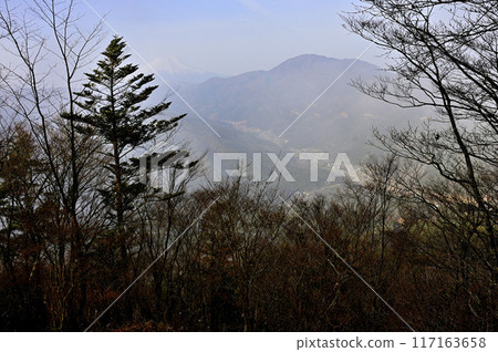 Mount Fuji and Mount Goseitai in the morning mist from the summit of Mount Torinomune in Tanzawa 117163658