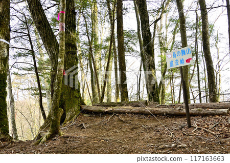 The summit of Mount Hirasashi in Tanzawa The summit of Mount Hirasashi in Tanzawa 117163663