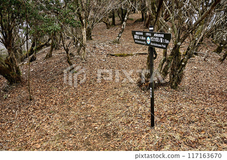 東海自然步道的路標－丹澤大開山山頂 117163670