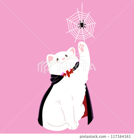 簡單可愛的萬聖節插畫，白貓玩蜘蛛，沒有主線 117164161