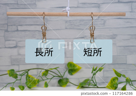 掛在秤上的優缺點卡 掛在秤上的優缺點卡 117164286