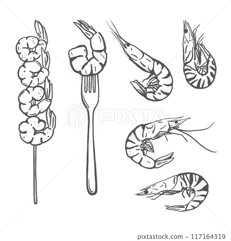 Hand drawn sketch style shrimp set 117164319