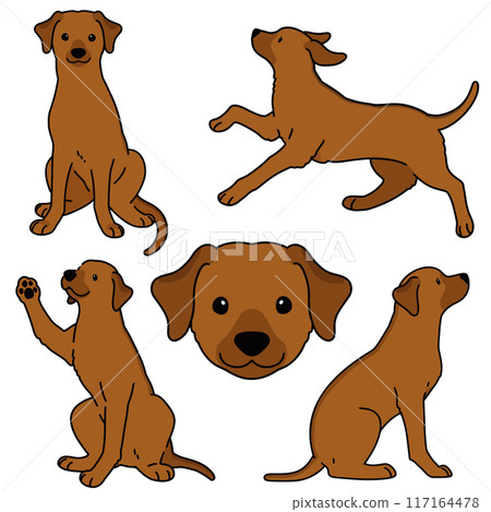 簡單可愛的羅德西亞脊背犬插圖集，帶有主線 117164478