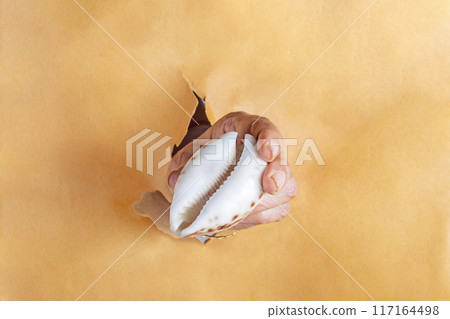 Female hand holding a seashell through a hole in a brown paper. Closeup Female hand holding a seashell through a hole in a brown paper. Closeup 117164498