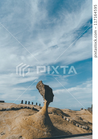 Queen of the Rocks 117164595