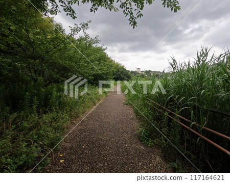 Near Kamizawa Pond, Midori Ward, Nagoya City Near Kamizawa Pond, Midori Ward, Nagoya City 117164621