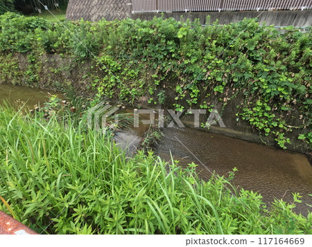 Near Kamizawa Pond, Midori Ward, Nagoya City Near Kamizawa Pond, Midori Ward, Nagoya City 117164669