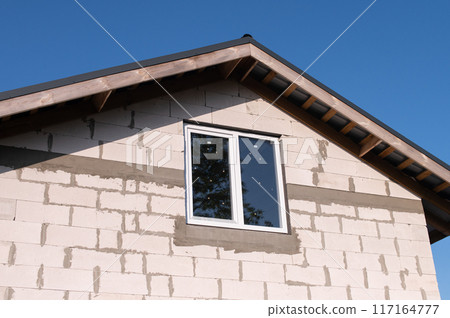 Modern House with Sloped Roof and Reflective Window Modern House with Sloped Roof and Reflective Window 117164777