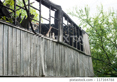 Burned Wooden House Ruins Surrounded by Greenery Burned Wooden House Ruins Surrounded by Greenery 117164788