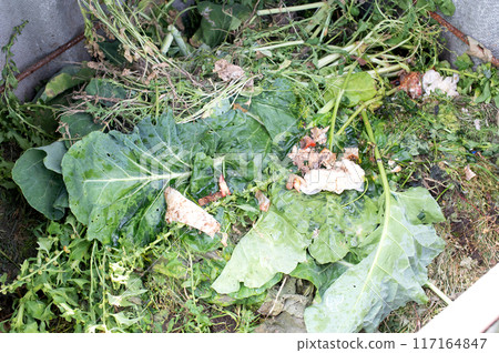 Home Composting Heap with Organic Kitchen Waste Home Composting Heap with Organic Kitchen Waste 117164847